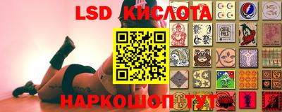 бошки Кинель